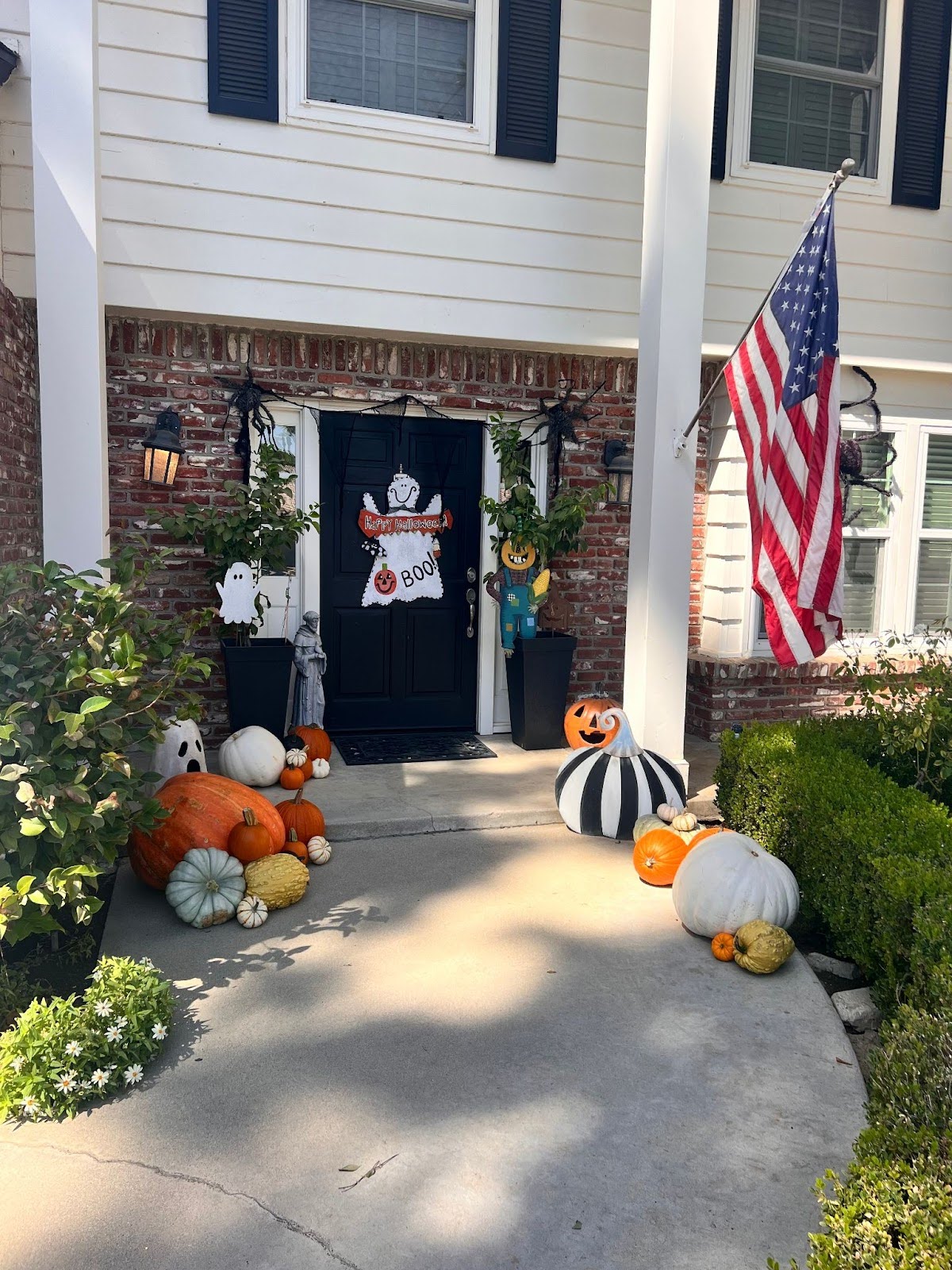 Peter Pumpkin Dash Package View 1